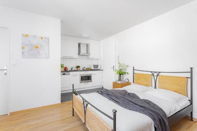 Wonderful holiday apartment | Near Zürich Hauptbahnhof | Pets are welcome — photo 2
