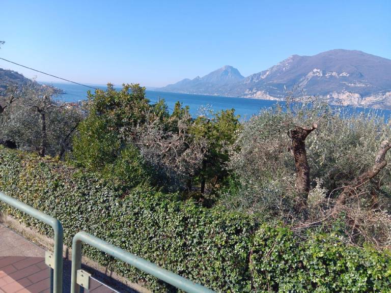 foto21
