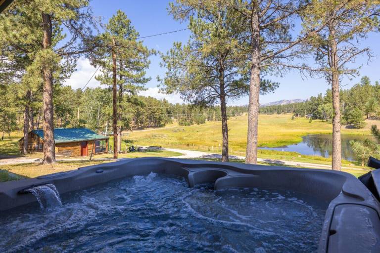 Cabin Custer