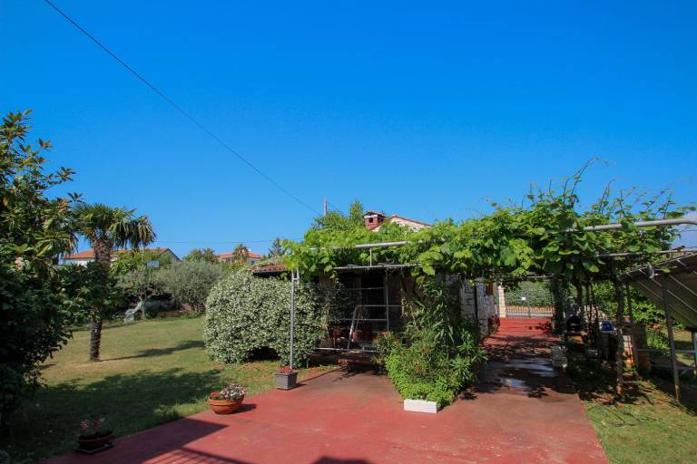 foto14