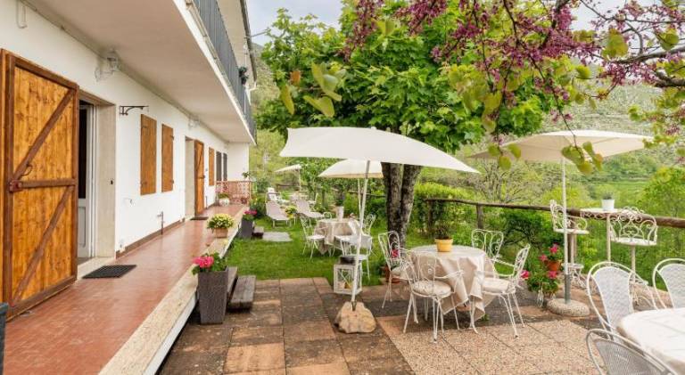 Beautiful holiday apartment | Pets are welcome — photo 2