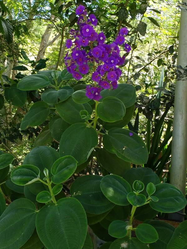 foto6
