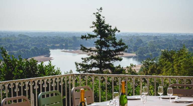 Chateau avec une vue sur la Loire — photo 4
