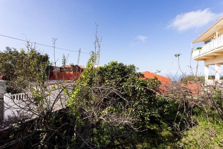 Charming rental apartment with patio | Dogs allowed — photo 3