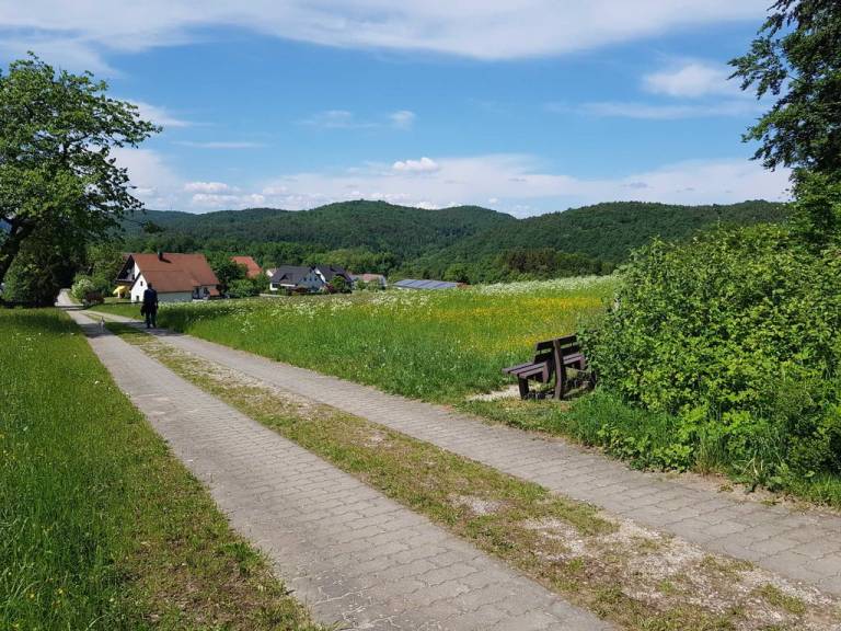 foto39