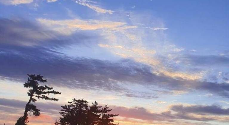 32 m&sup2; Ferienhaus