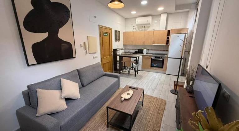 Apartment | Pet-friendly in Burgos