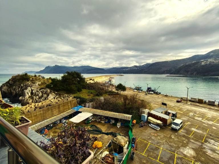 Nice lodge with terrace, garden & BBQ | Next to the beach | Dogs allowed — photo 4