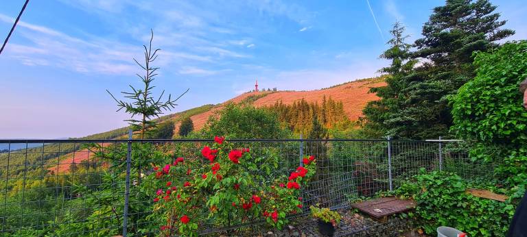 Child-friendly beautiful bungalow with terrace, BBQ & fast internet | Garden view | Good for workation | Dogs allowed — photo 4