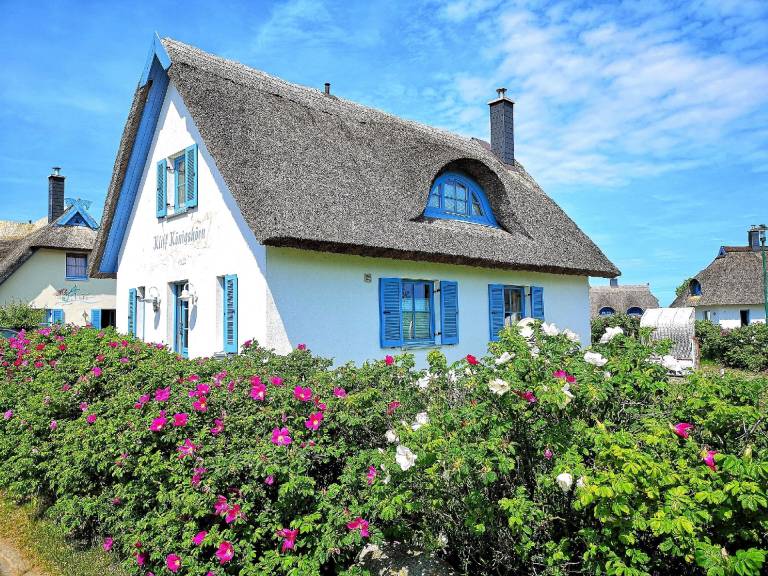 Ferienhaus mit Hund in Glowe für max. 4 Personen