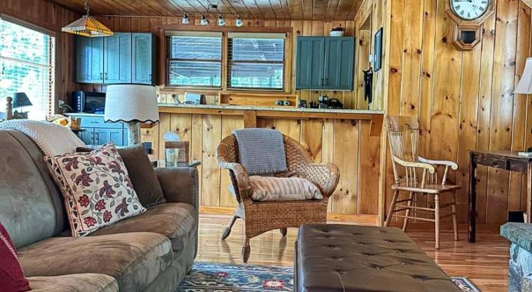 Big house | Pets allowed — photo 4