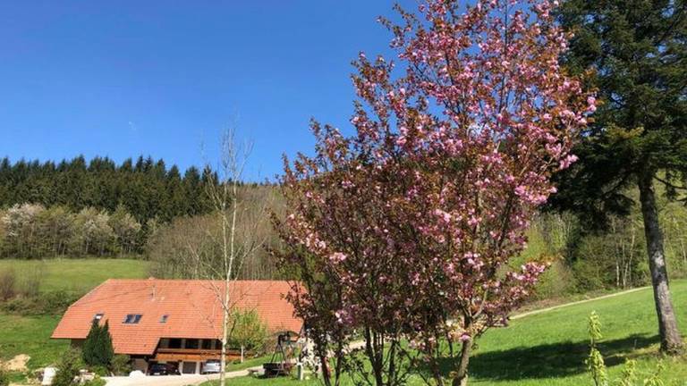 Ferienwohnung Waldkirch