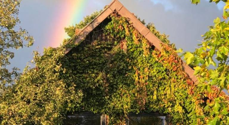 Ferienwohnung Hohenwestedt