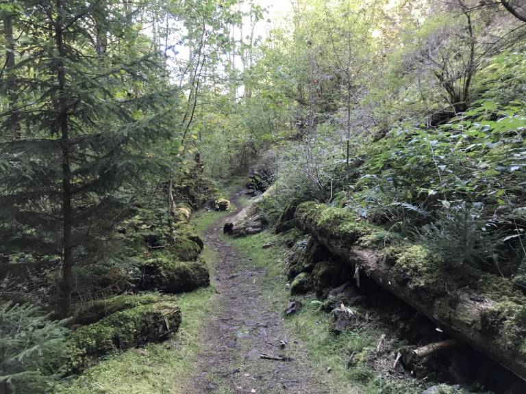 foto42