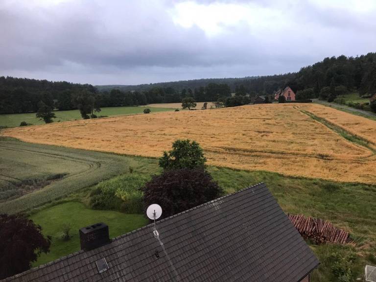 foto20