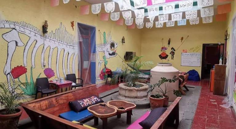Iguana Hostel Oaxaca in Oaxaca