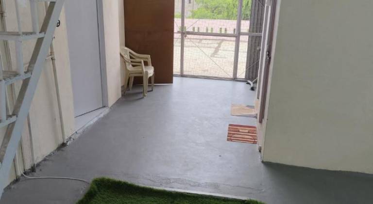 foto14