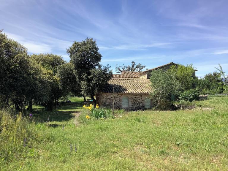 Maison de vacances Ménerbes