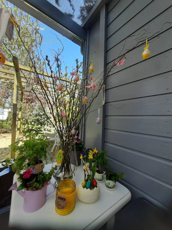 foto5