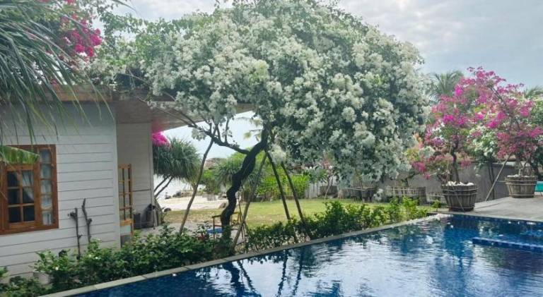 House with pool, yard & terrace — photo 3