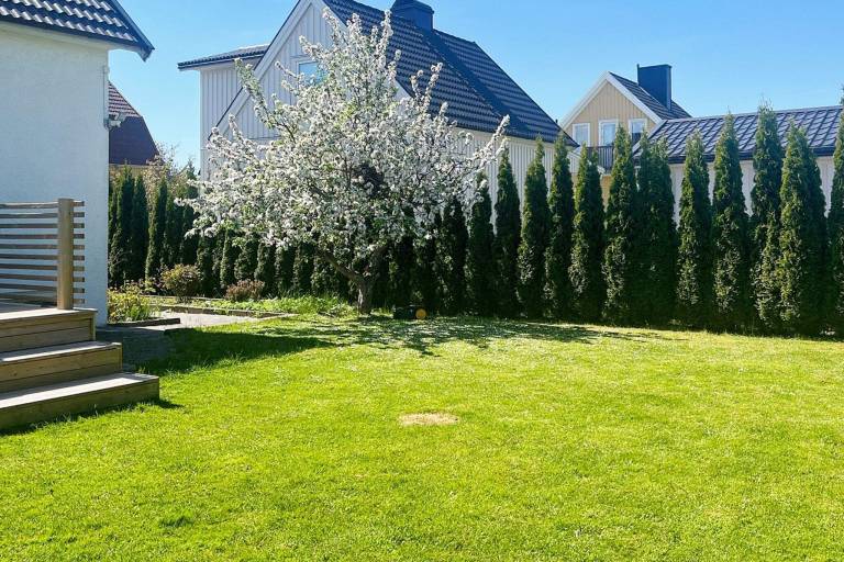 House with garden — photo 4