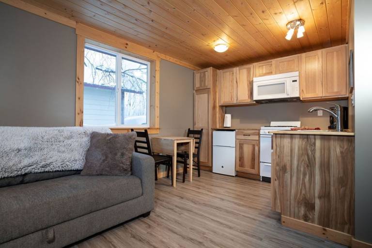 Cabin Talkeetna