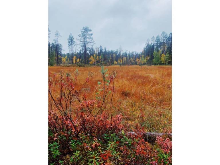 Ferienhaus Sallatunturi