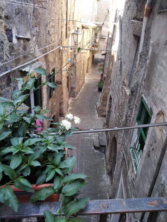 Holiday apartment with 1 room for 4 persons — photo 5