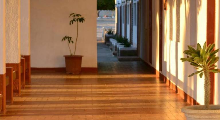 Hotel Las Palmas — photo 4