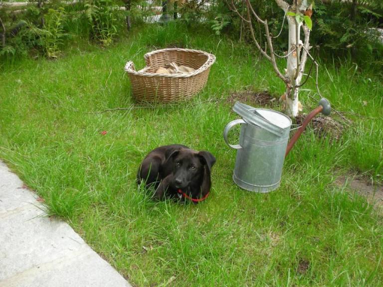 Rental apartment with garden | Nature view — photo 5