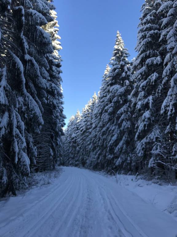 foto21