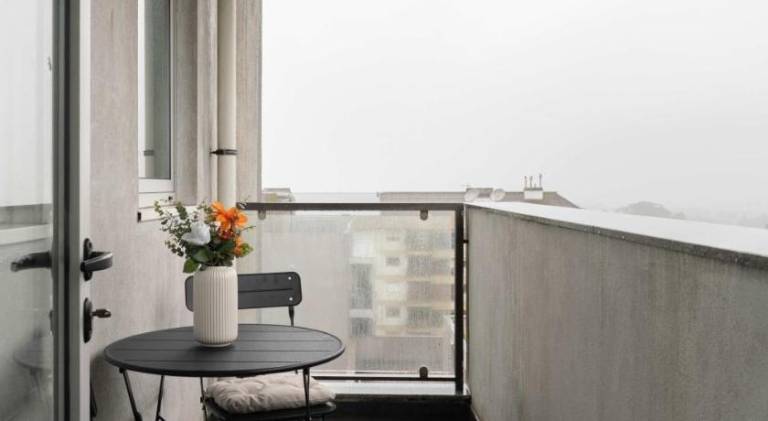 Holiday apartment | Pets are welcome — photo 2