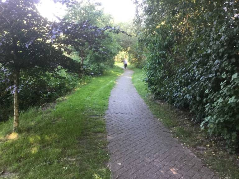 foto11