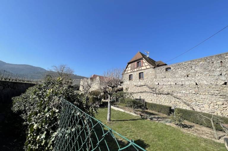foto11