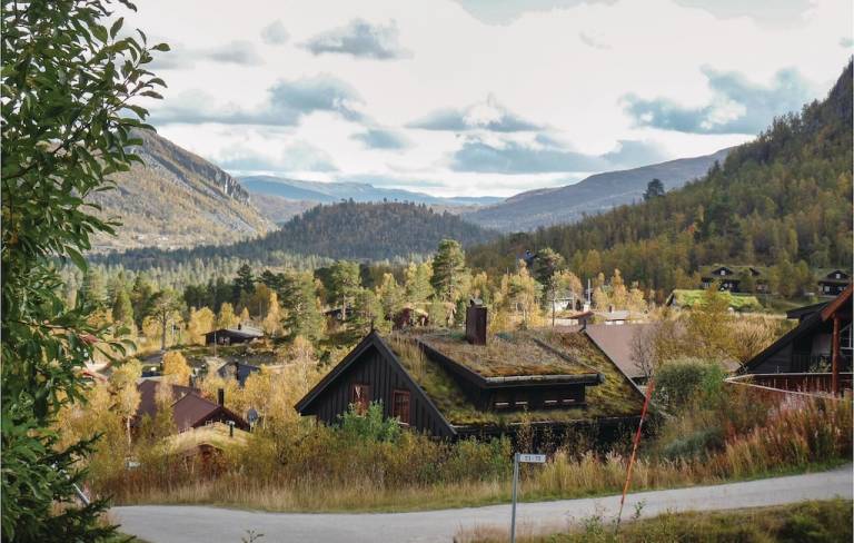 Feriehus Hovden i Setesdal
