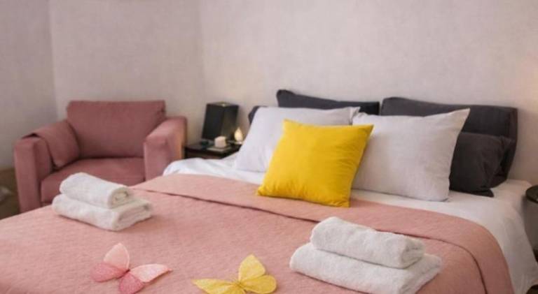 Chambre cosy Butterfly chez l'habitant avec jardin in Gennevilliers