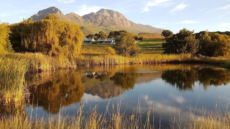 Landhaus Stellenbosch