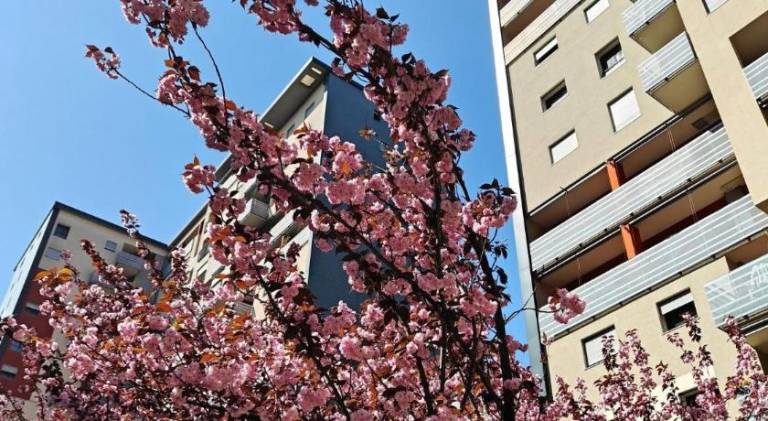 Holiday apartment with 1 room for 2 persons — photo 4