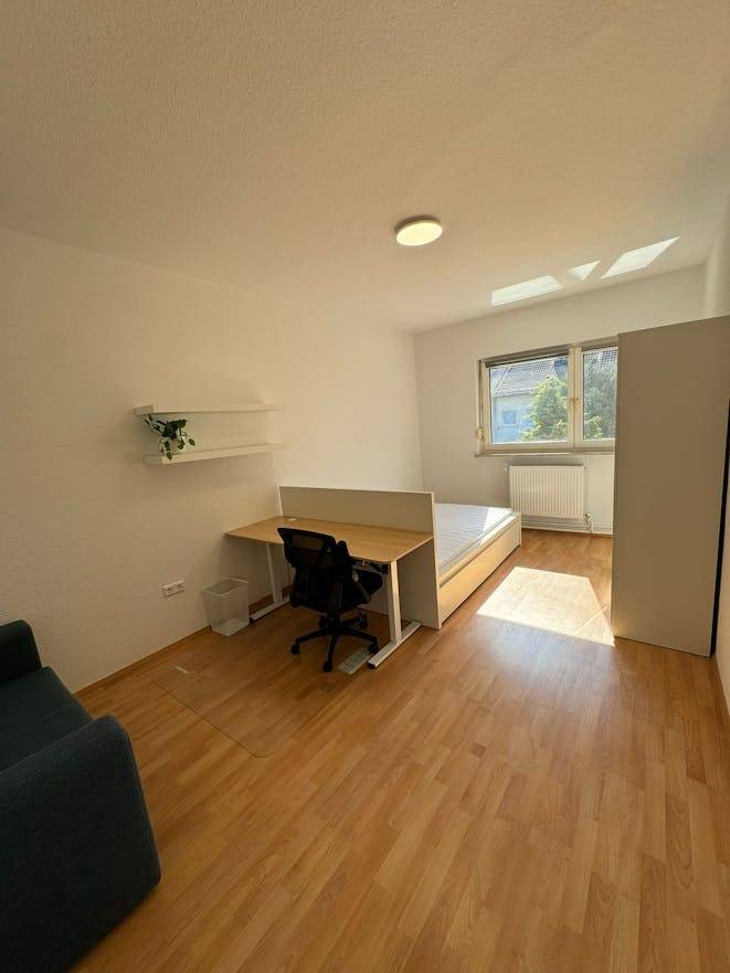 foto1