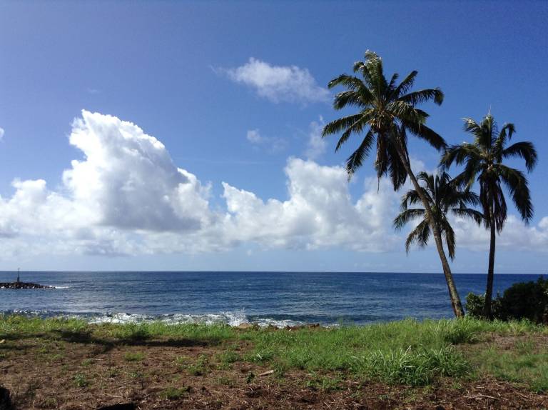 Condo  Kapaa