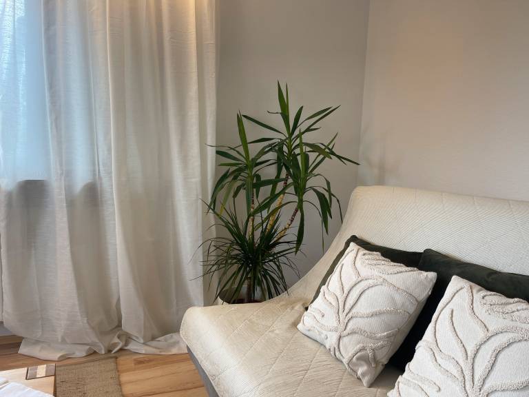foto23