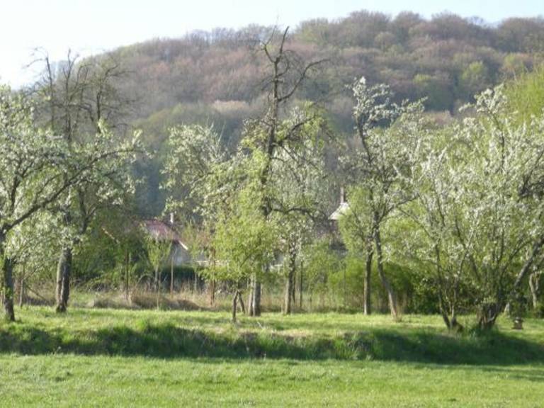 Lovely cottage with barbeque & yard | Dogs allowed — photo 5