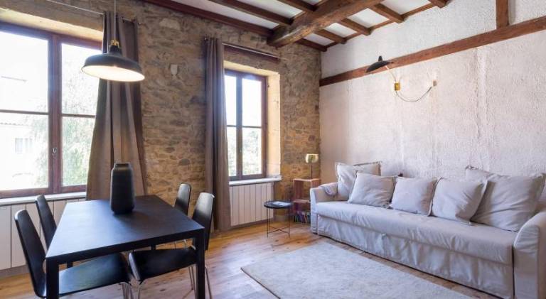Lovely apartment | Close to Place Bellecour | Good for workation | Pets are welcome in Lyon