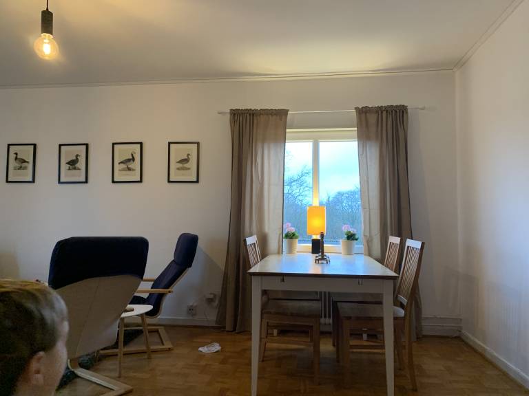 foto15