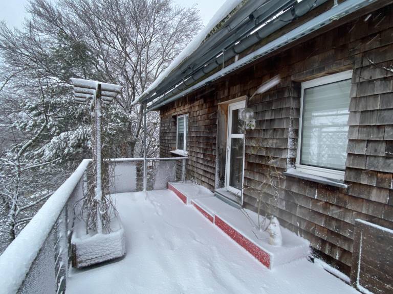 Family-friendly rental apartment with patio | Pet-friendly — photo 4