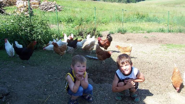 Ferienwohnung Falkenstein