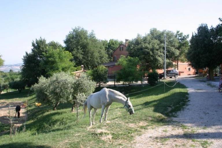 foto15