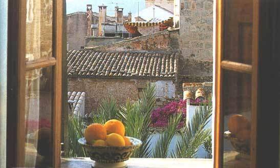 foto38