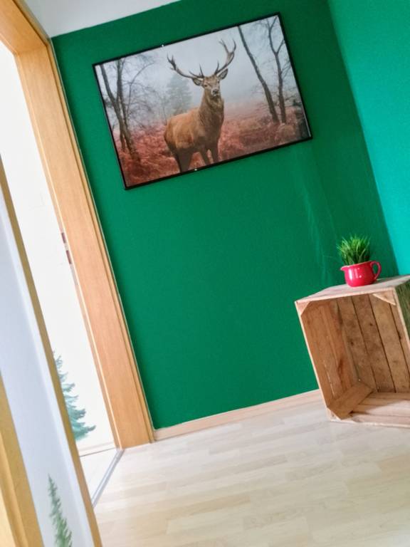 foto1