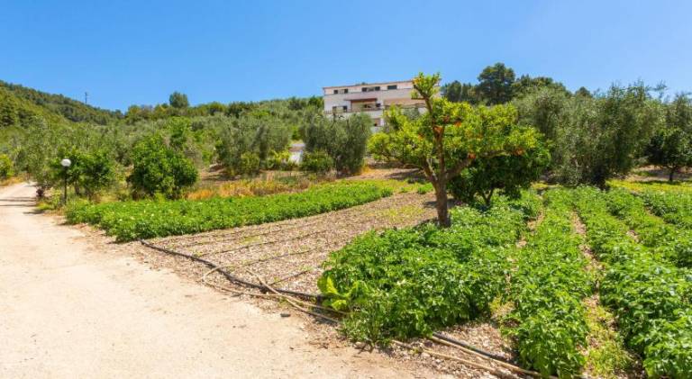 Apartment with 1 room for 4 persons in Peschici